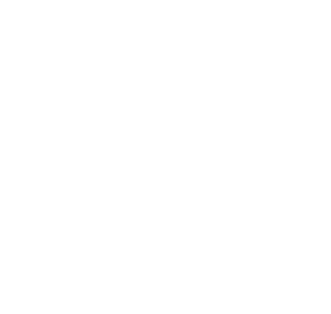 TST Logo White